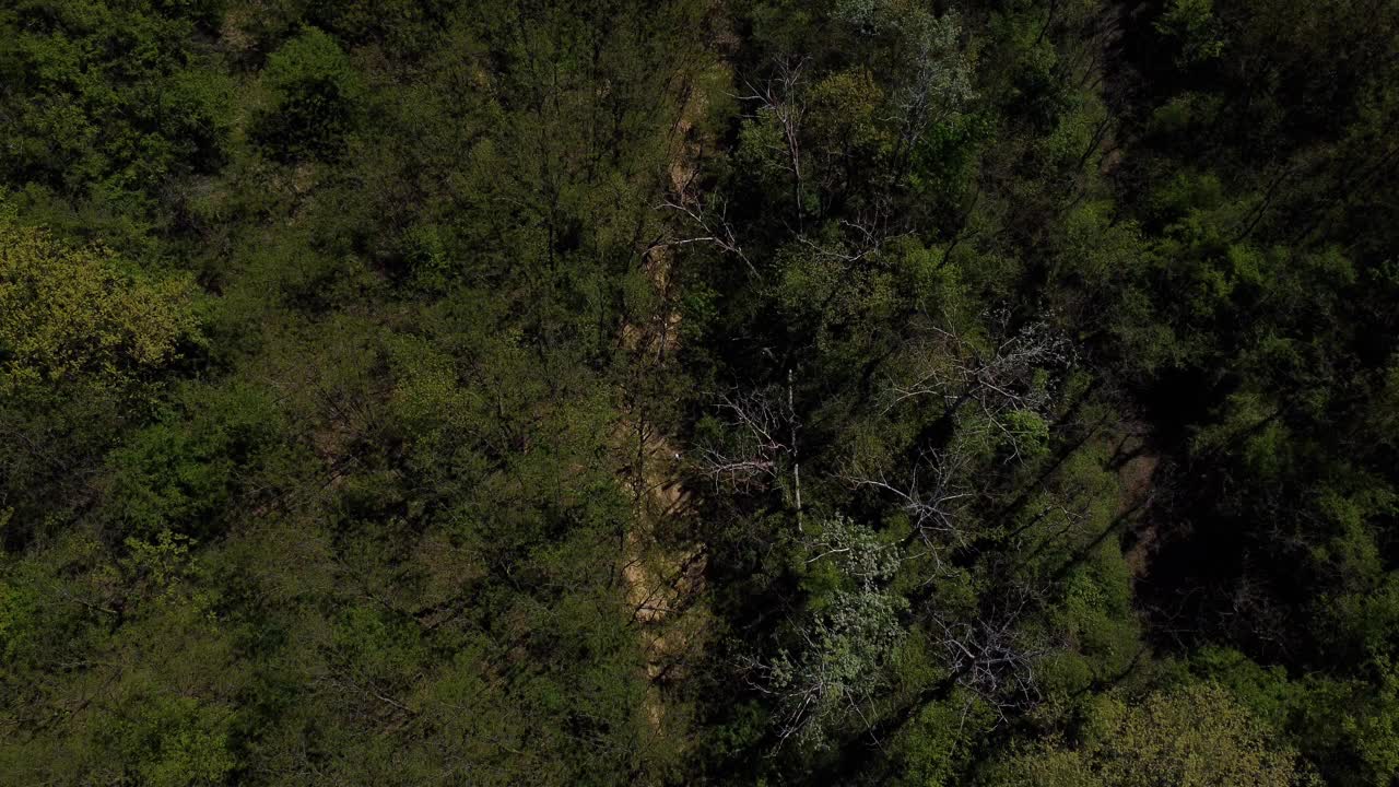 缓慢的无人机飞行在徒步旅行者穿越美丽的绿色山丘，平原和森林视频下载