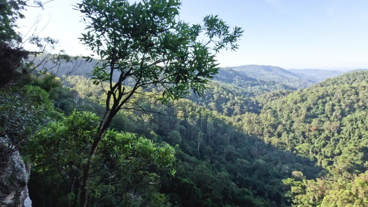 风景秀丽的森林山景视频素材