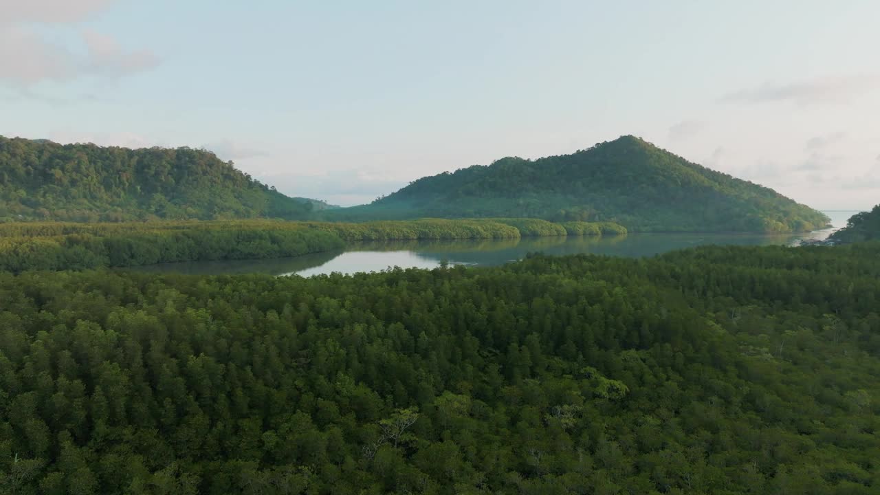 鸟瞰热带绿红树林河湾生态视频素材