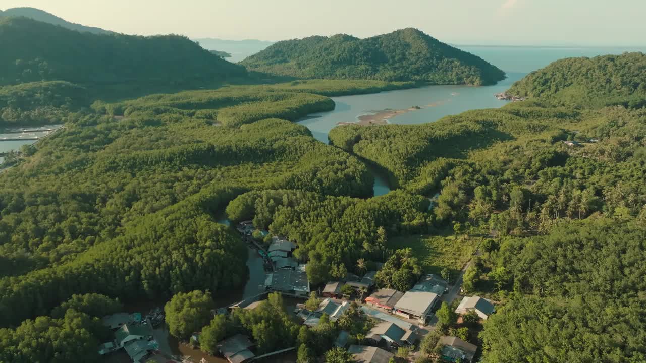 鸟瞰热带绿红树林河湾生态视频素材