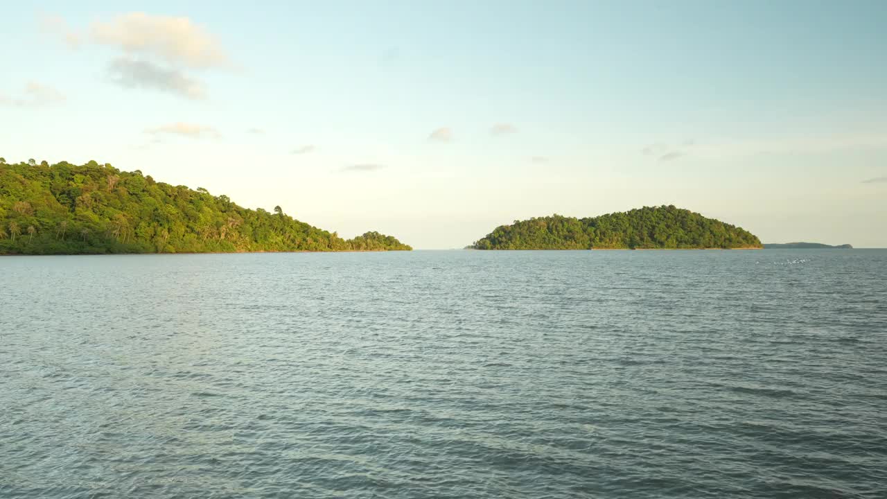 鸟瞰图热带绿色红树林，河流，海湾视频素材