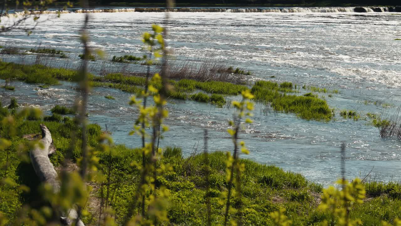 水流过翠绿的草地，前景有树视频素材