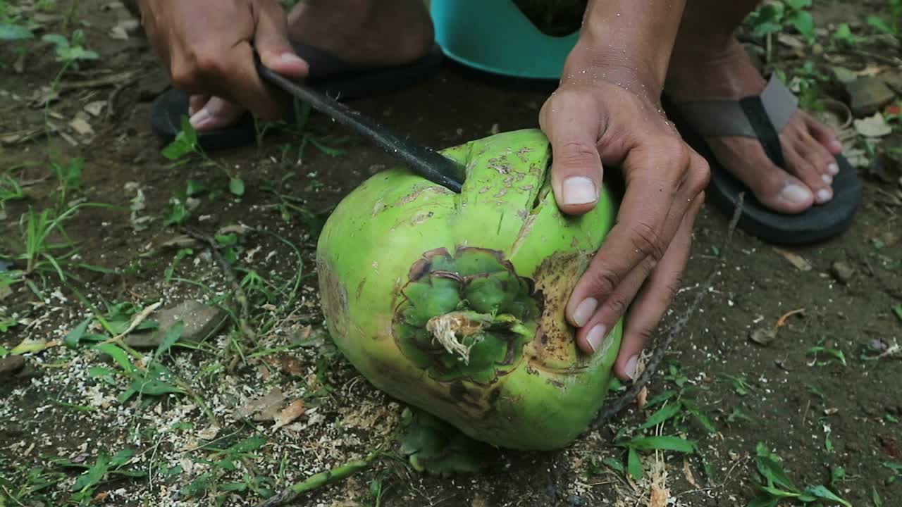 近景:手工工人在剥椰子的过程中用室外尖刀。视频素材