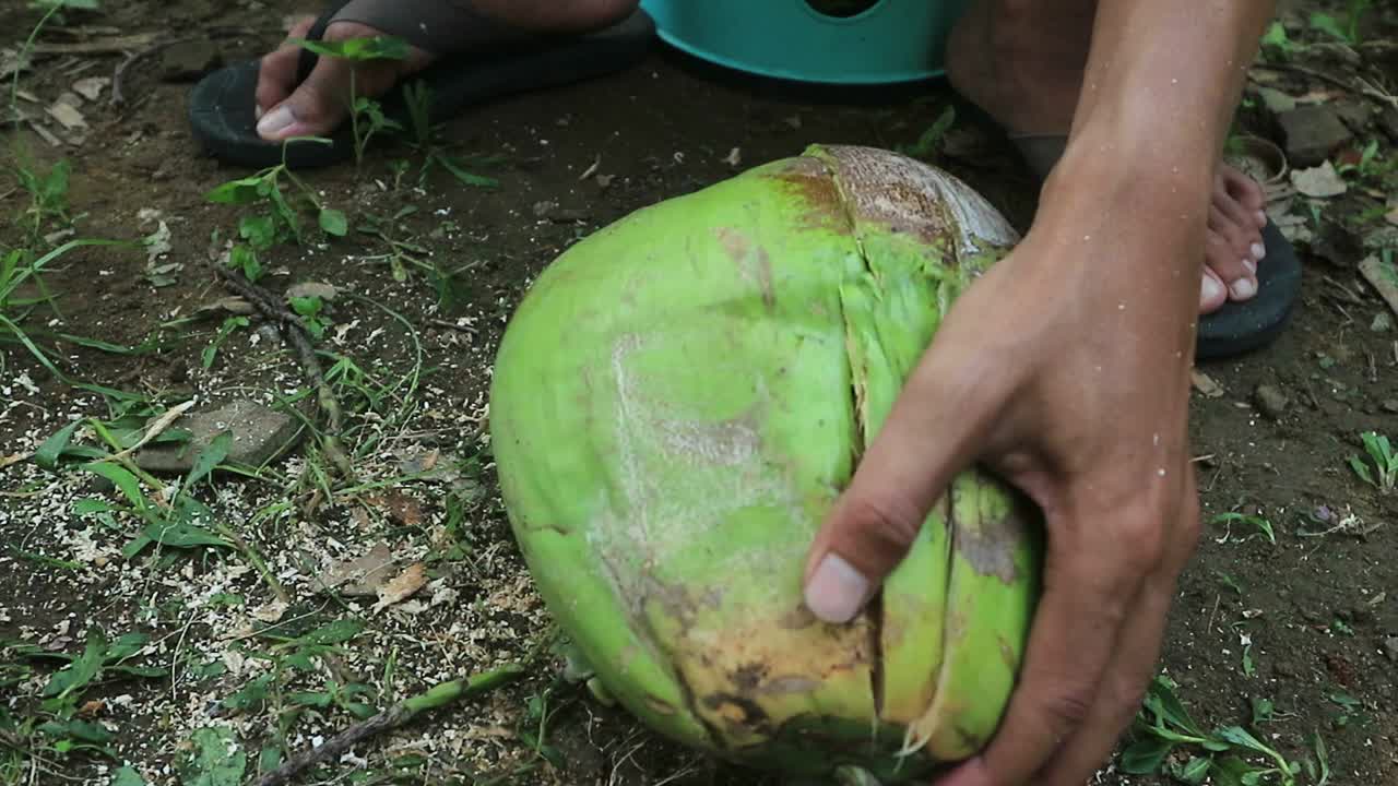 近景:手工工人在剥椰子的过程中用室外尖刀。视频素材