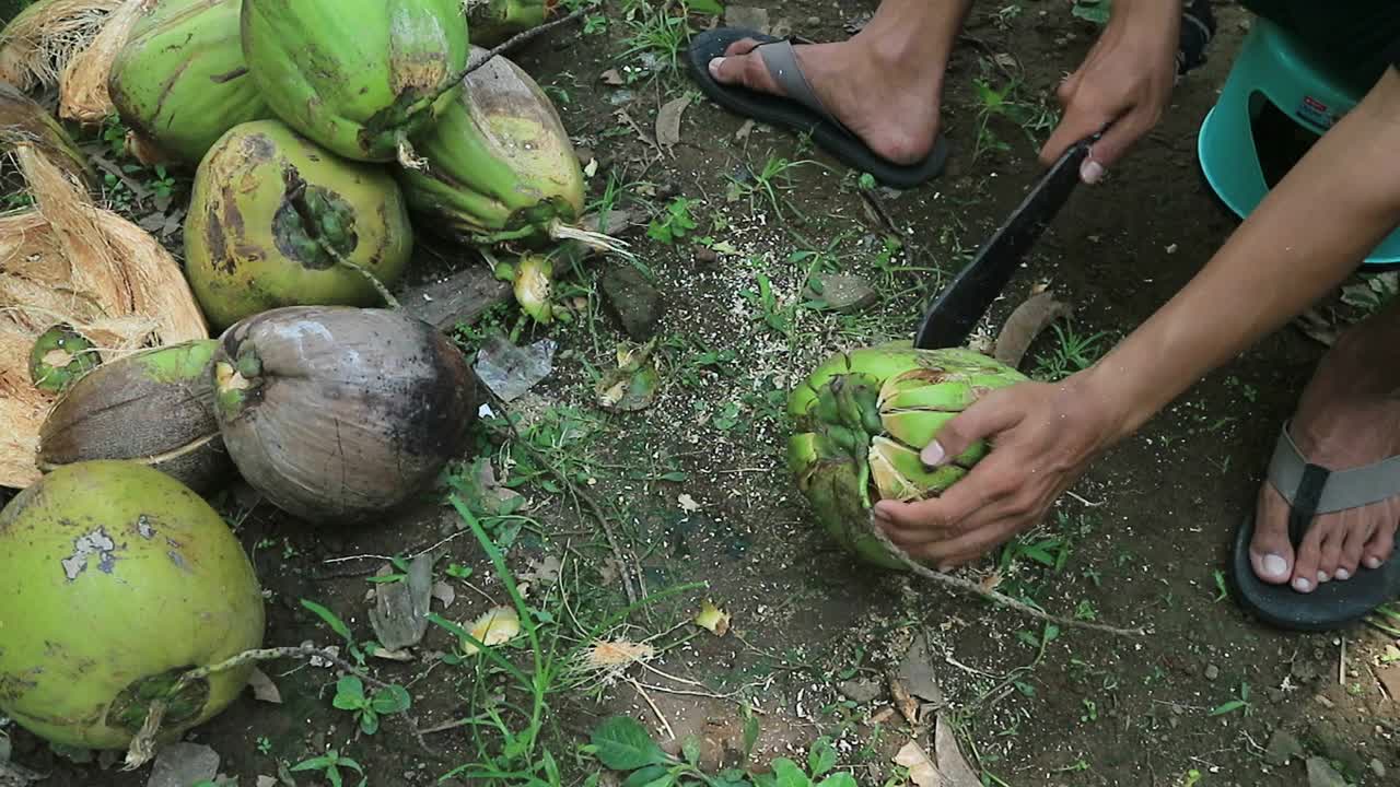 近景:手工工人在剥椰子的过程中用室外尖刀。视频素材