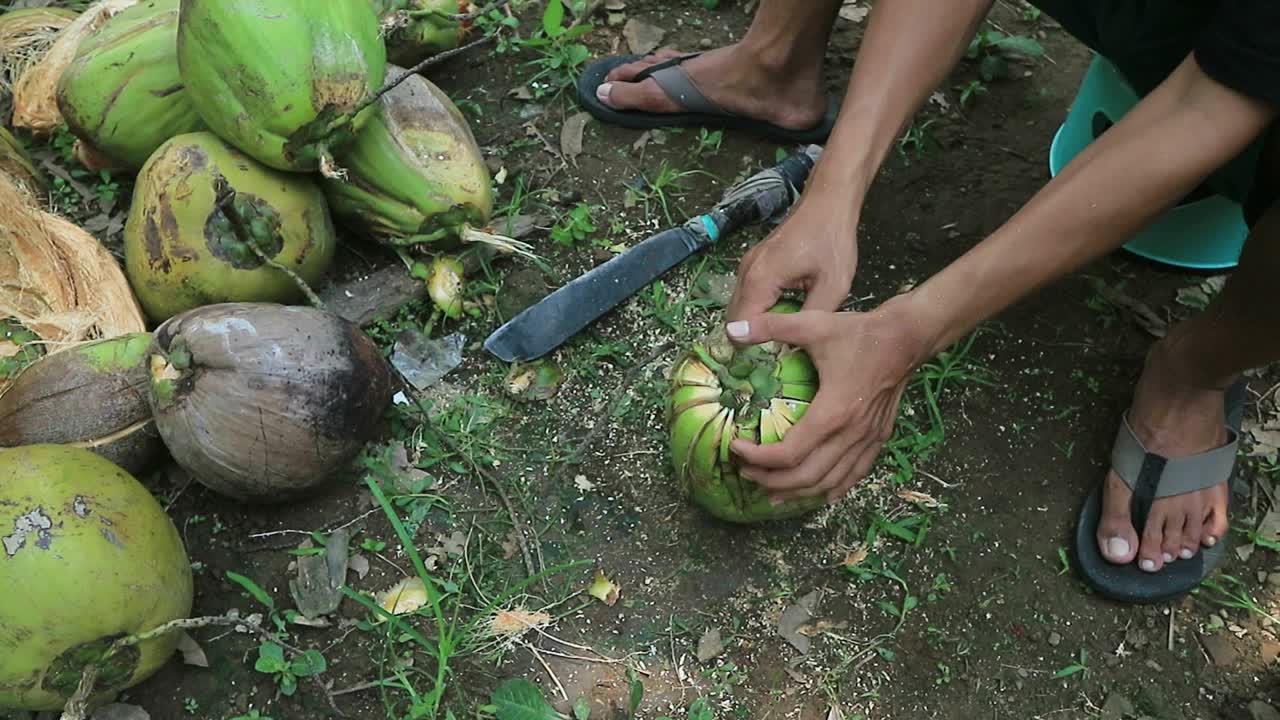 近景:手工工人在剥椰子的过程中用室外尖刀。视频下载