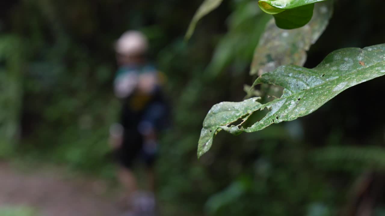 一位年轻的母亲背着孩子在森林里徒步旅行视频下载