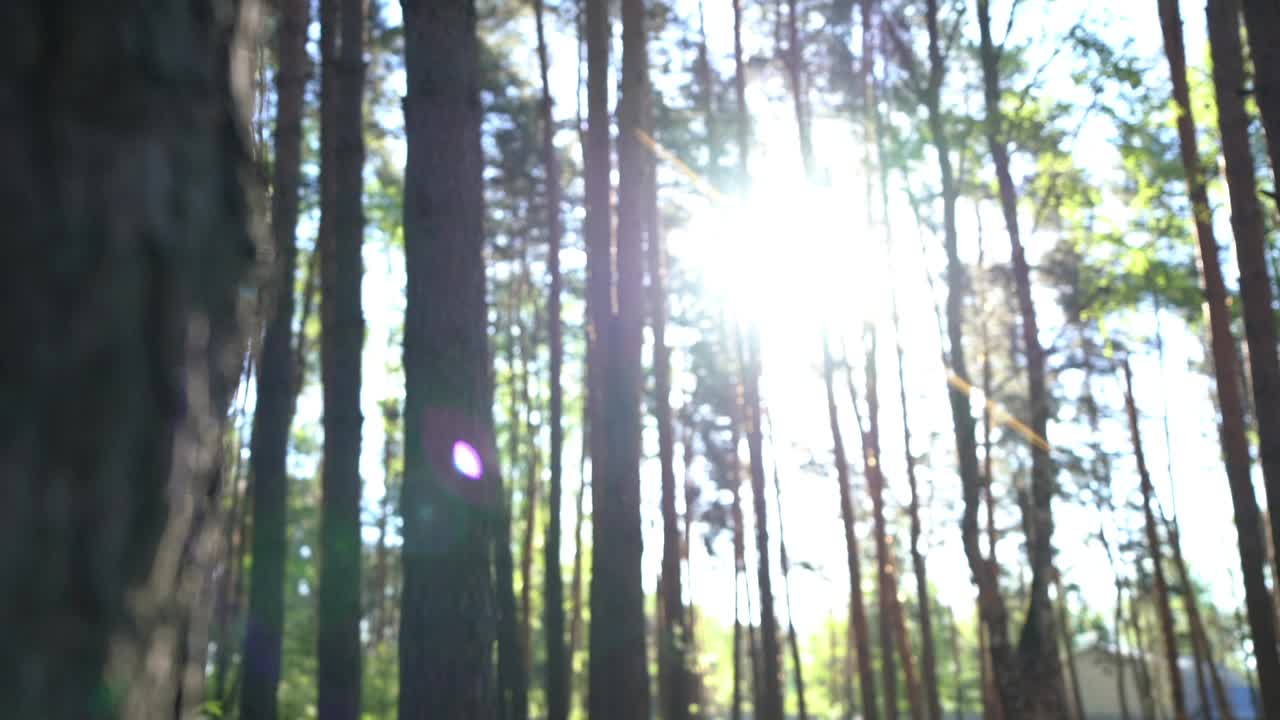 早晨，一个人在树林里训练后休息，欣赏风景视频素材