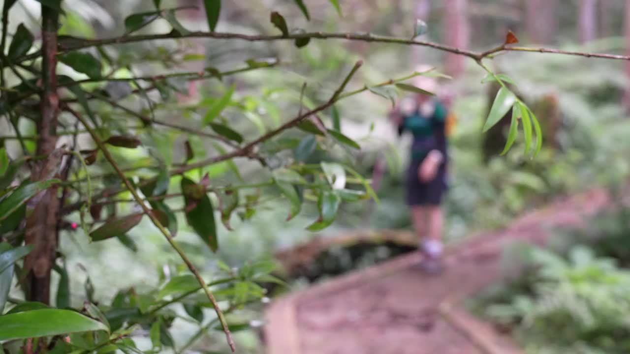 一位年轻的母亲背着孩子在森林里徒步旅行视频下载