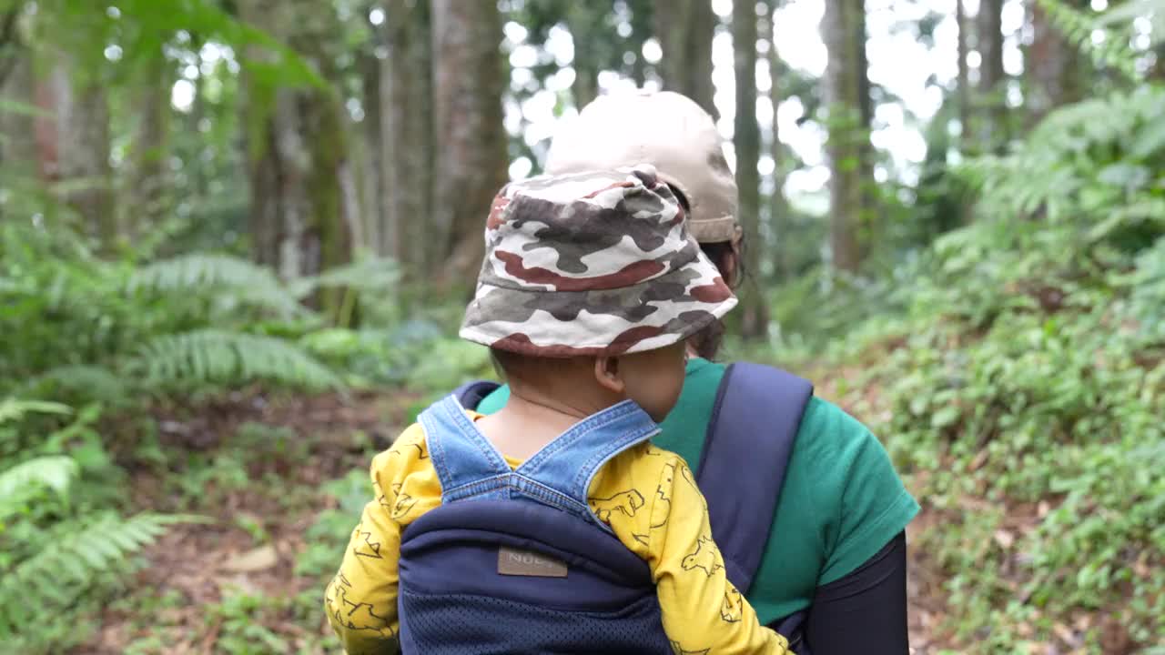 一位年轻的母亲背着孩子在森林里徒步旅行视频素材