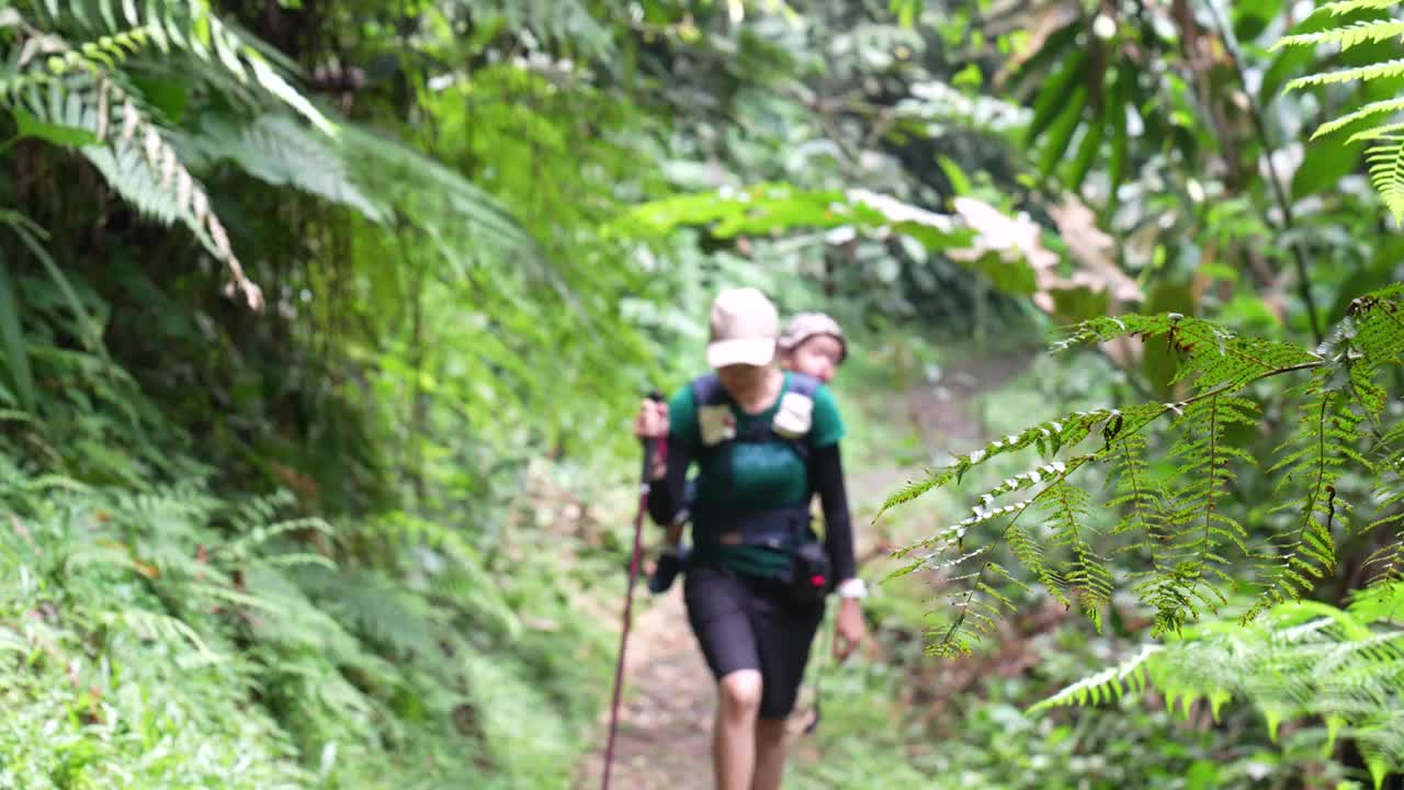 一位年轻的母亲背着孩子在森林里徒步旅行视频素材