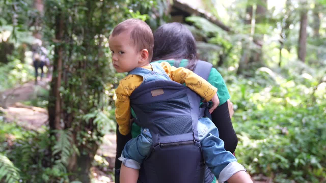 一位年轻的母亲背着孩子在森林里徒步旅行视频素材