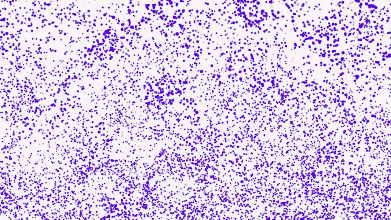 未来的、数字化的、抽象的、与蓝点技术连接的网络信息点上一波数字波动画。抽象运动白色背景数字现代。视频素材