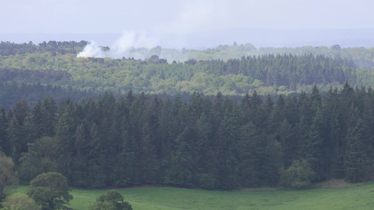 英格兰萨里的森林火灾视频下载