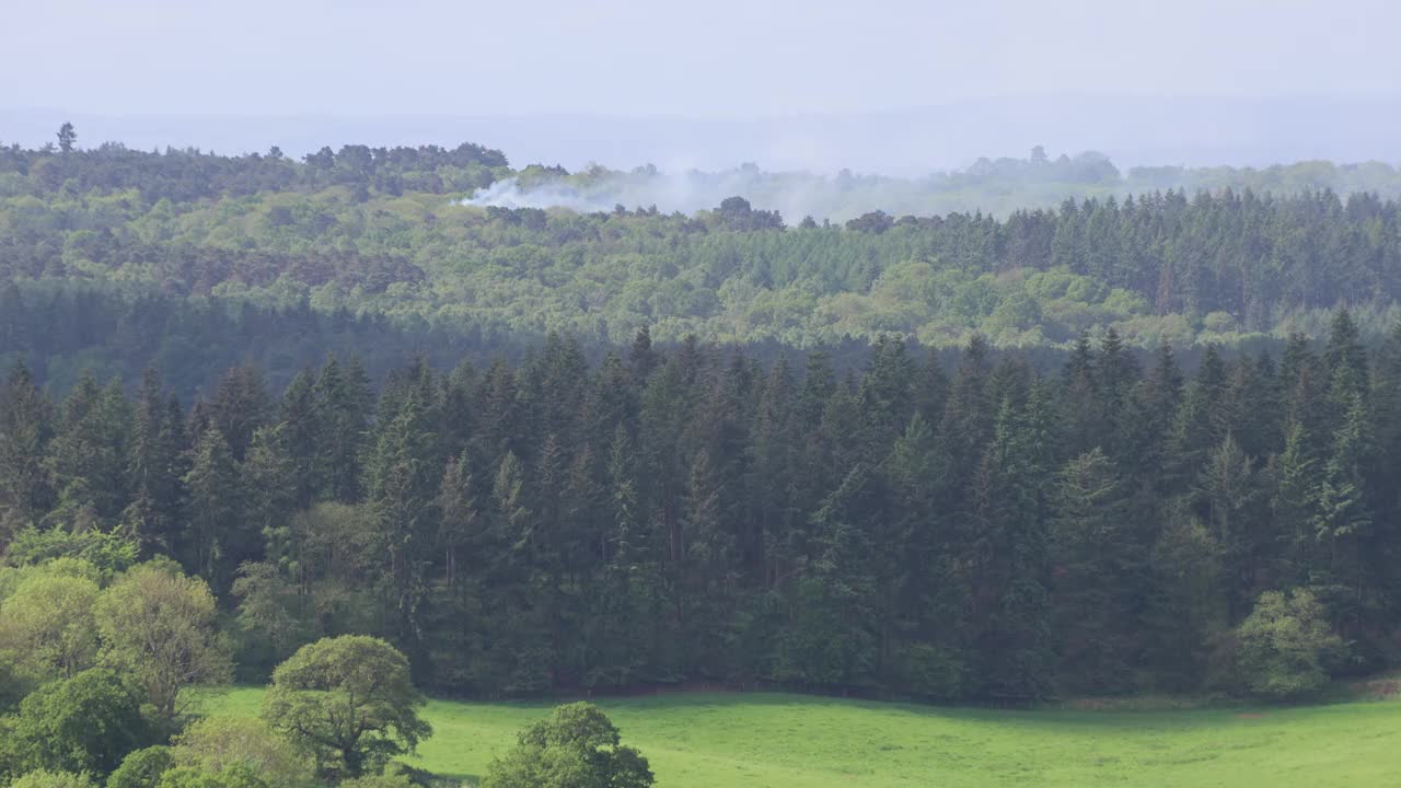 英格兰萨里的森林火灾视频下载