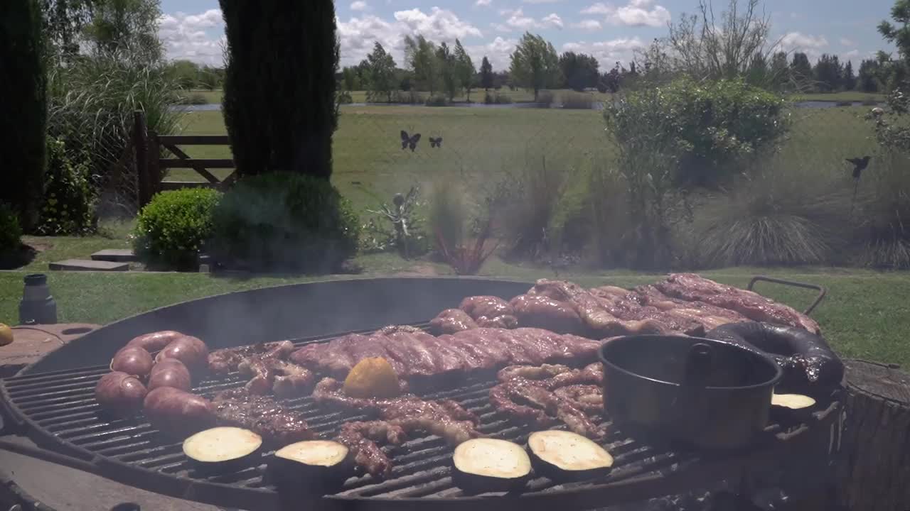 全烤架在花园里烤肉和内脏视频素材