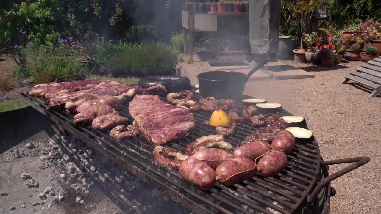 全烤架在花园里烤肉和内脏视频素材