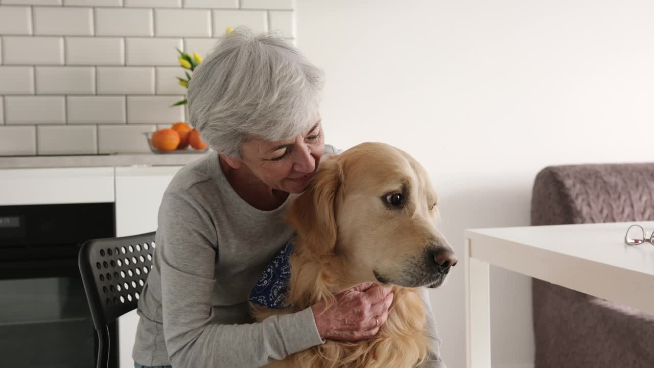 快乐的老妇人抚摸着她可爱的金毛猎犬视频素材