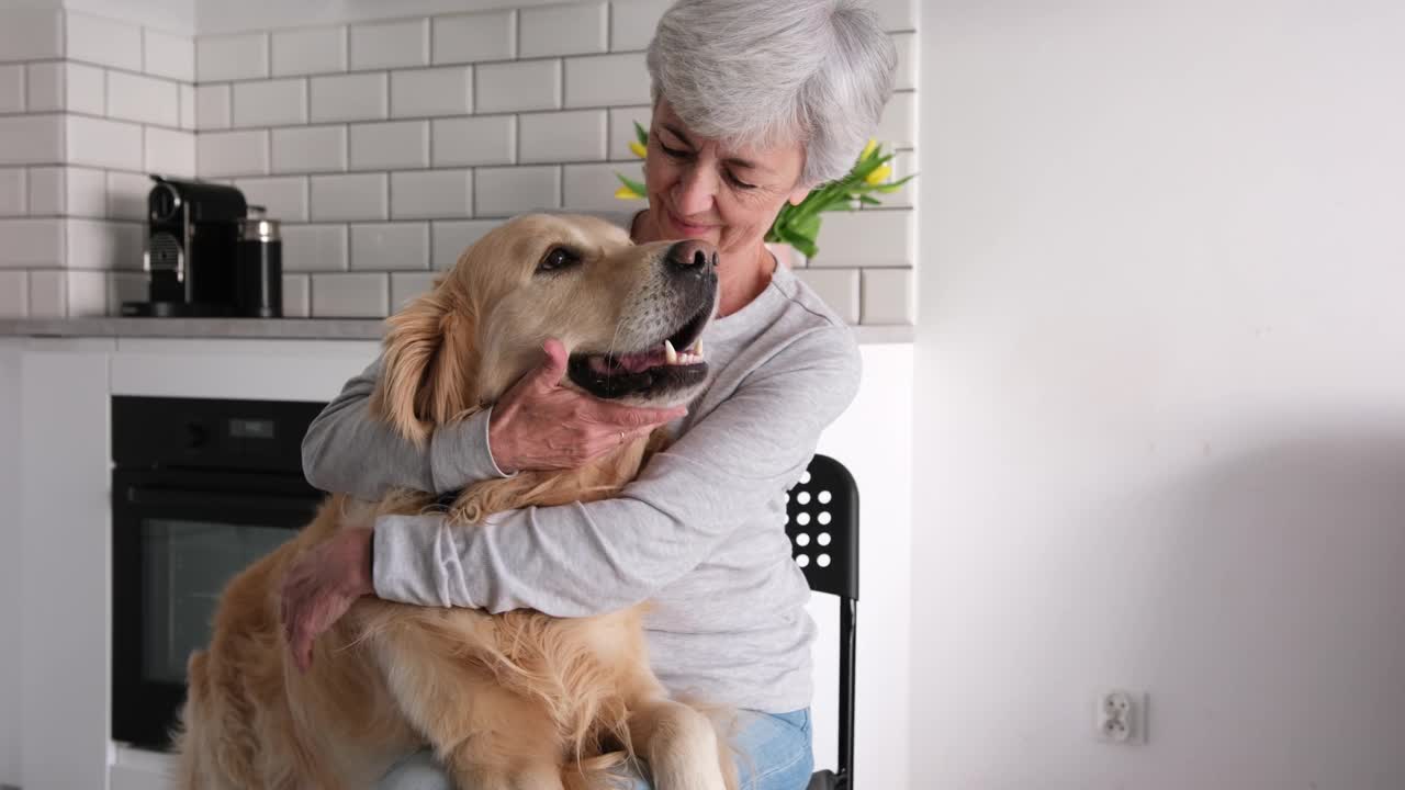 迷人的白发老妇人抱着她的宠物——可爱的金毛猎犬视频素材