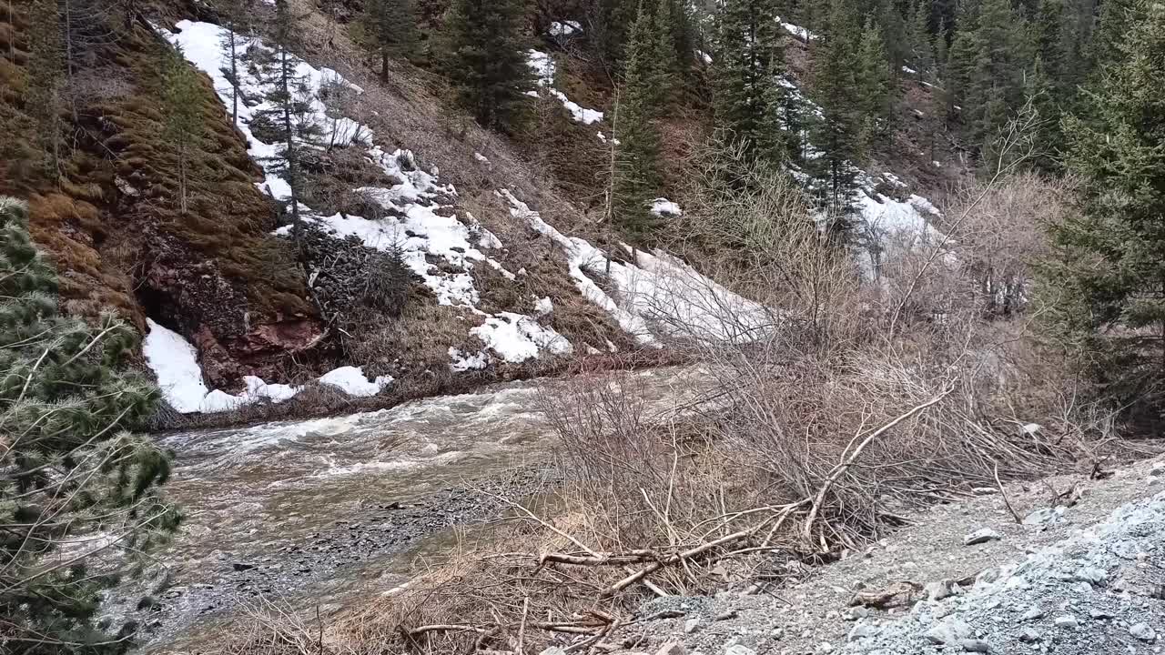 透过茂密的灌木丛，看到一条山间小河流湍急的河床，河水流经森林，河岸被雪覆盖。视频下载