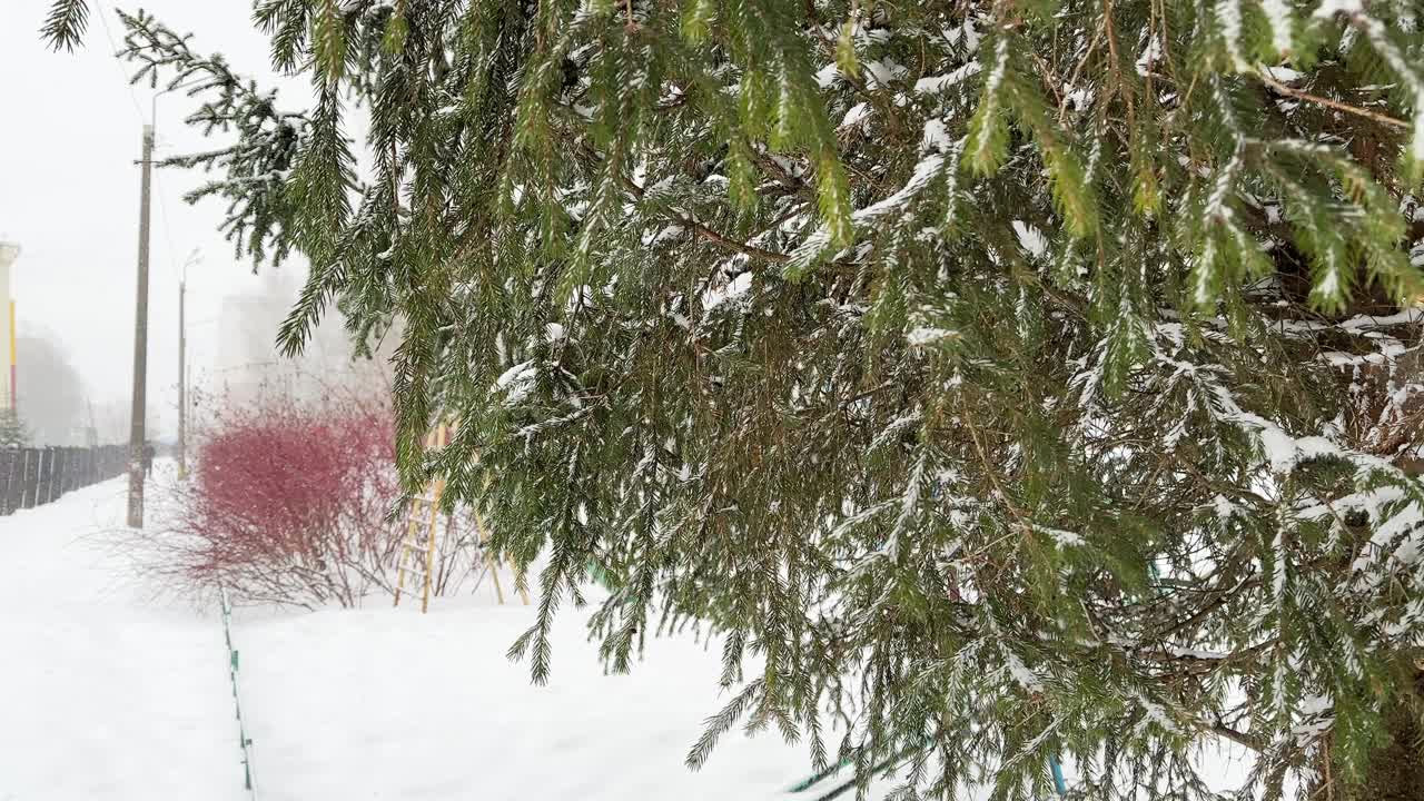 城市景观，绿色的松树和人行道在雪寒冷的冬季天气视频下载