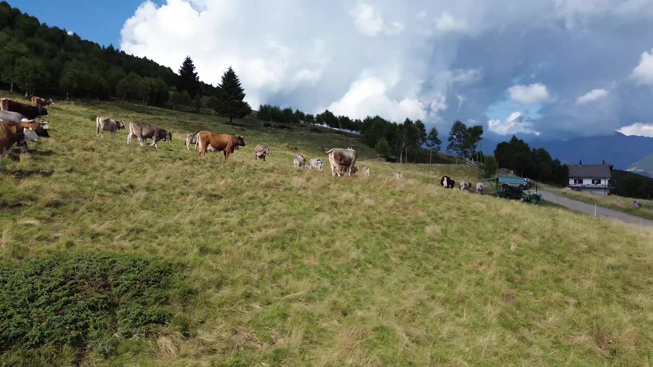 山野鸟瞰图视频下载