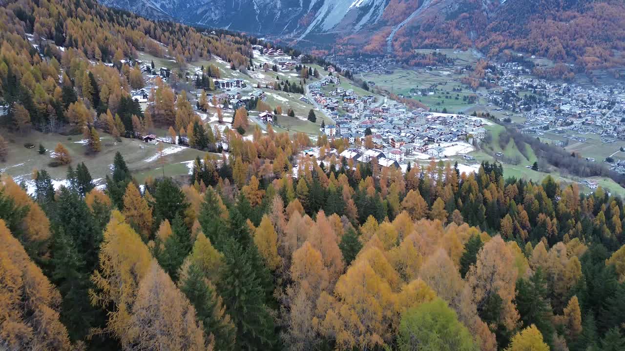 飞越意大利阿尔卑斯山的松树视频素材