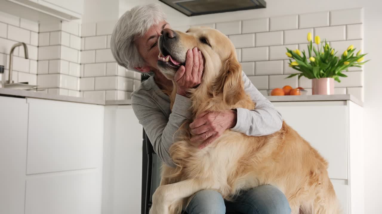 快乐的老年妇女在厨房里和她可爱的金毛猎犬玩耍视频素材
