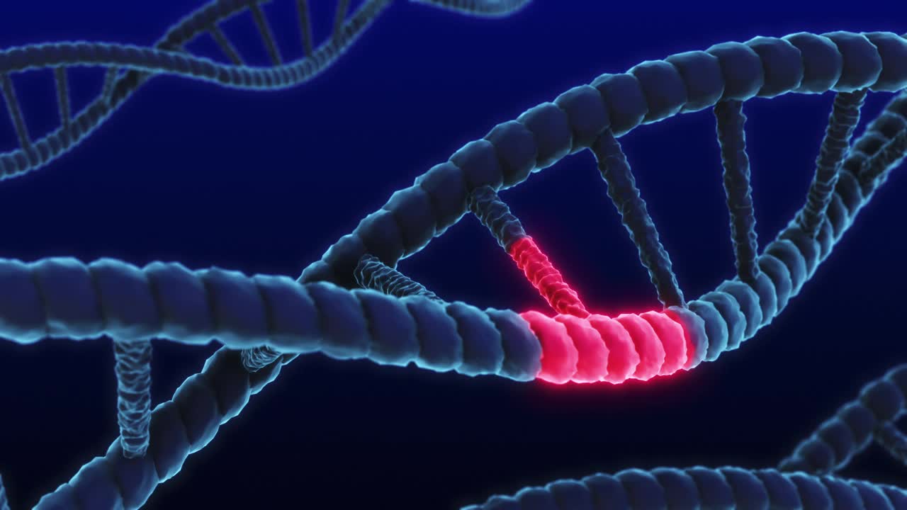 突变DNA和分子科学生物技术视频素材