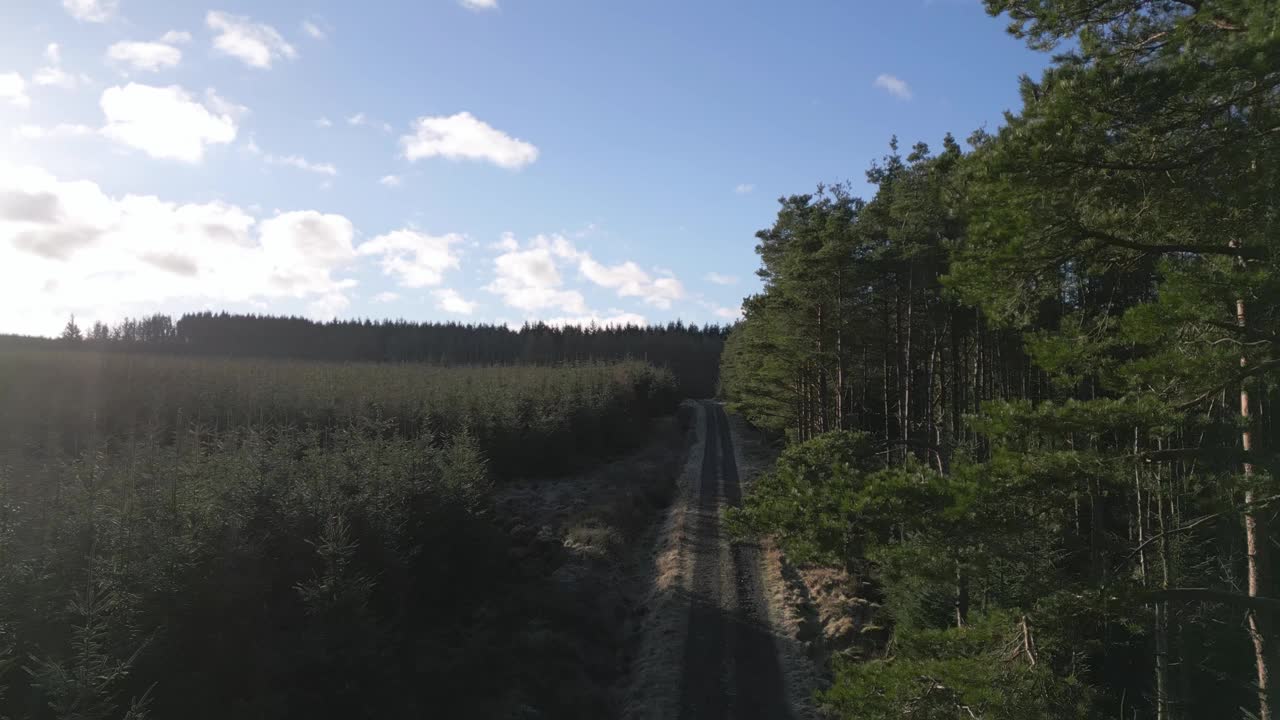 鸟瞰茂密的森林和蜿蜒的道路，苏格兰。视频素材