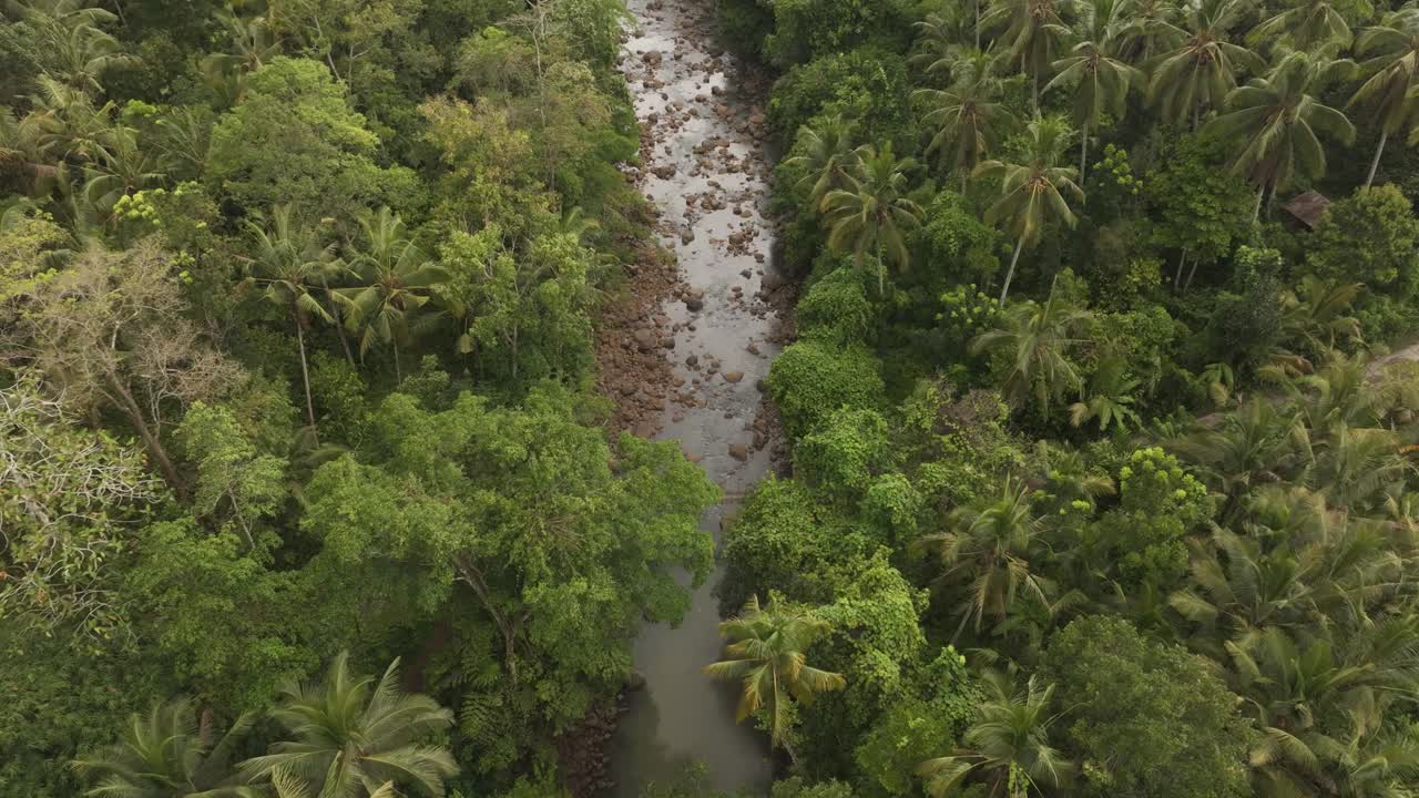 鸟瞰热带森林与桥梁，河流，道路，棕榈树，巴厘岛。视频素材