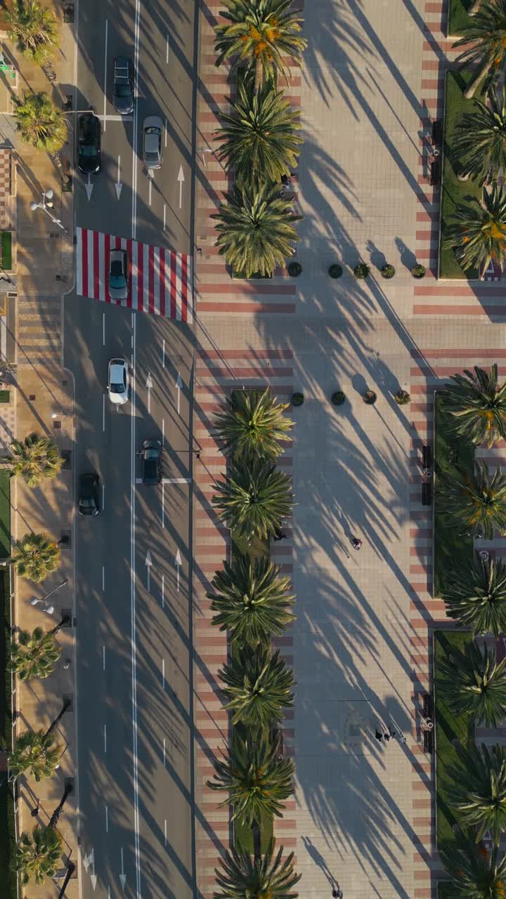 小巷与棕榈树鸟瞰图，步行街和汽车道路在日落，漫步在异国情调的热带度假胜地，直接在空中无人机观看4k，垂直视频素材