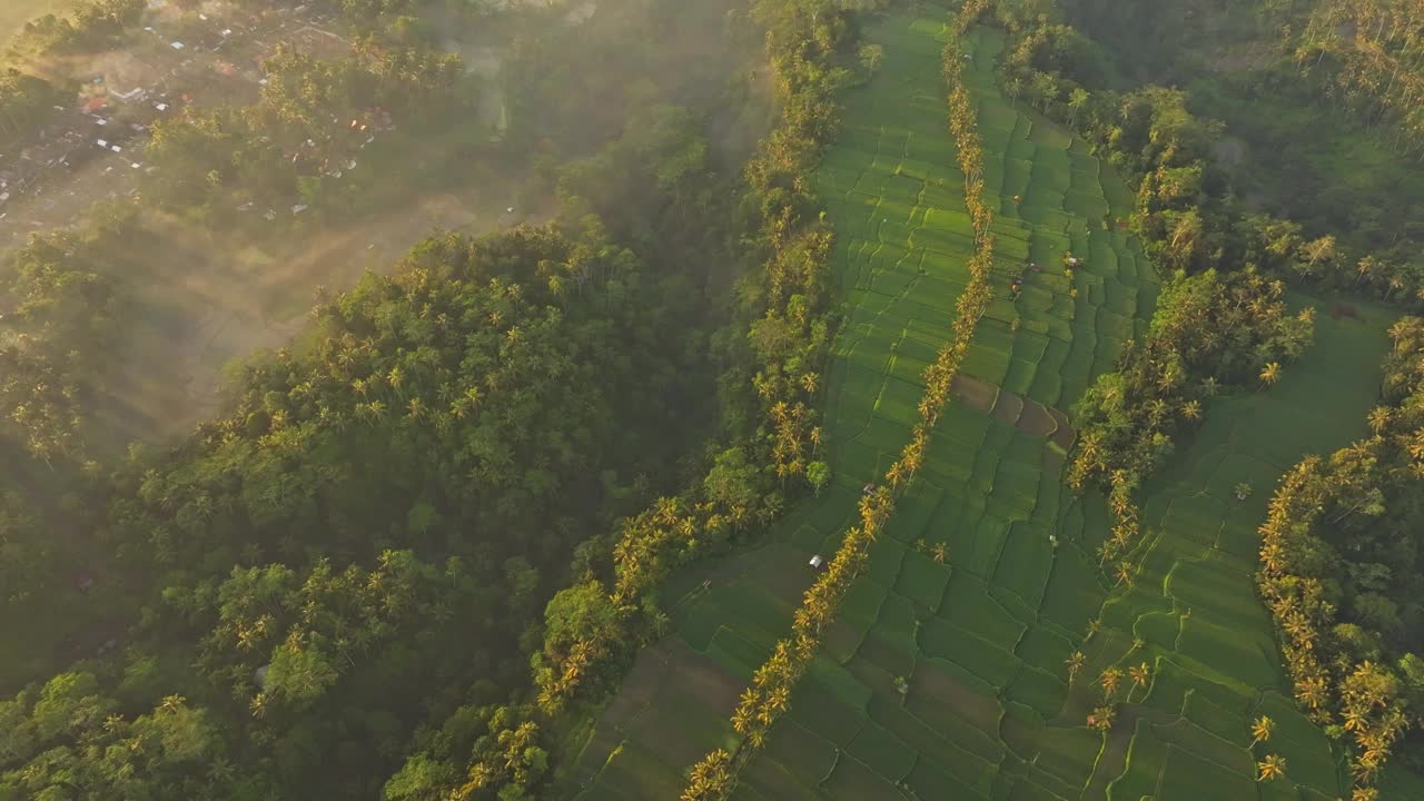 鸟瞰印尼巴厘岛曼钦甘的梯田、雾和日出。视频素材