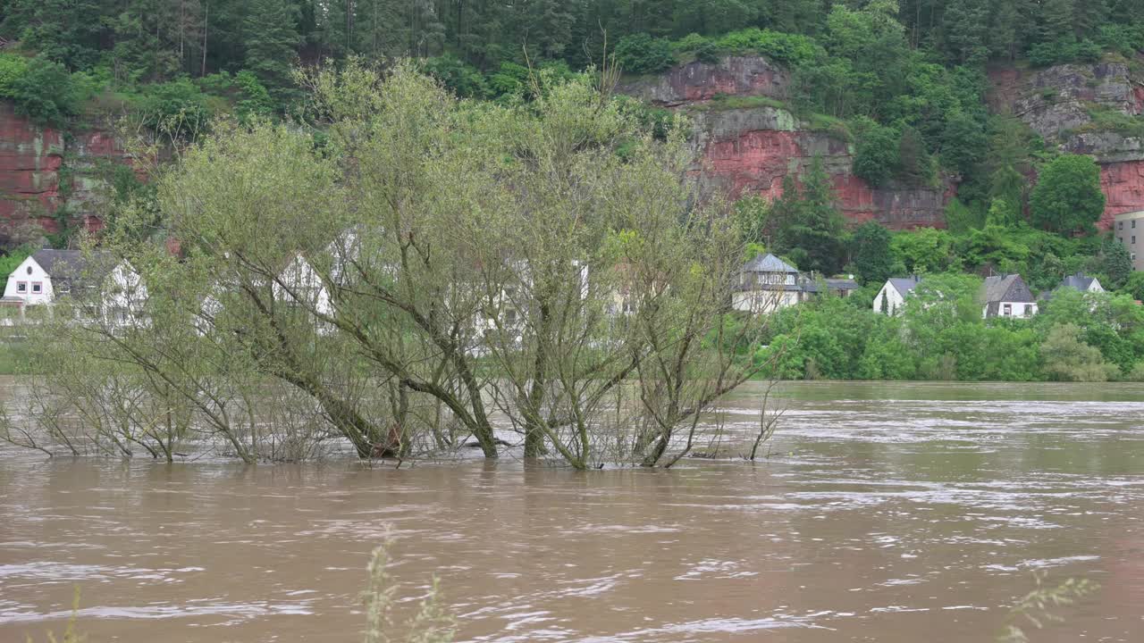 摩泽尔河的洪水，莱茵兰-普法尔茨的特里尔河，淹没了树木和道路，高水位，气候变化视频素材