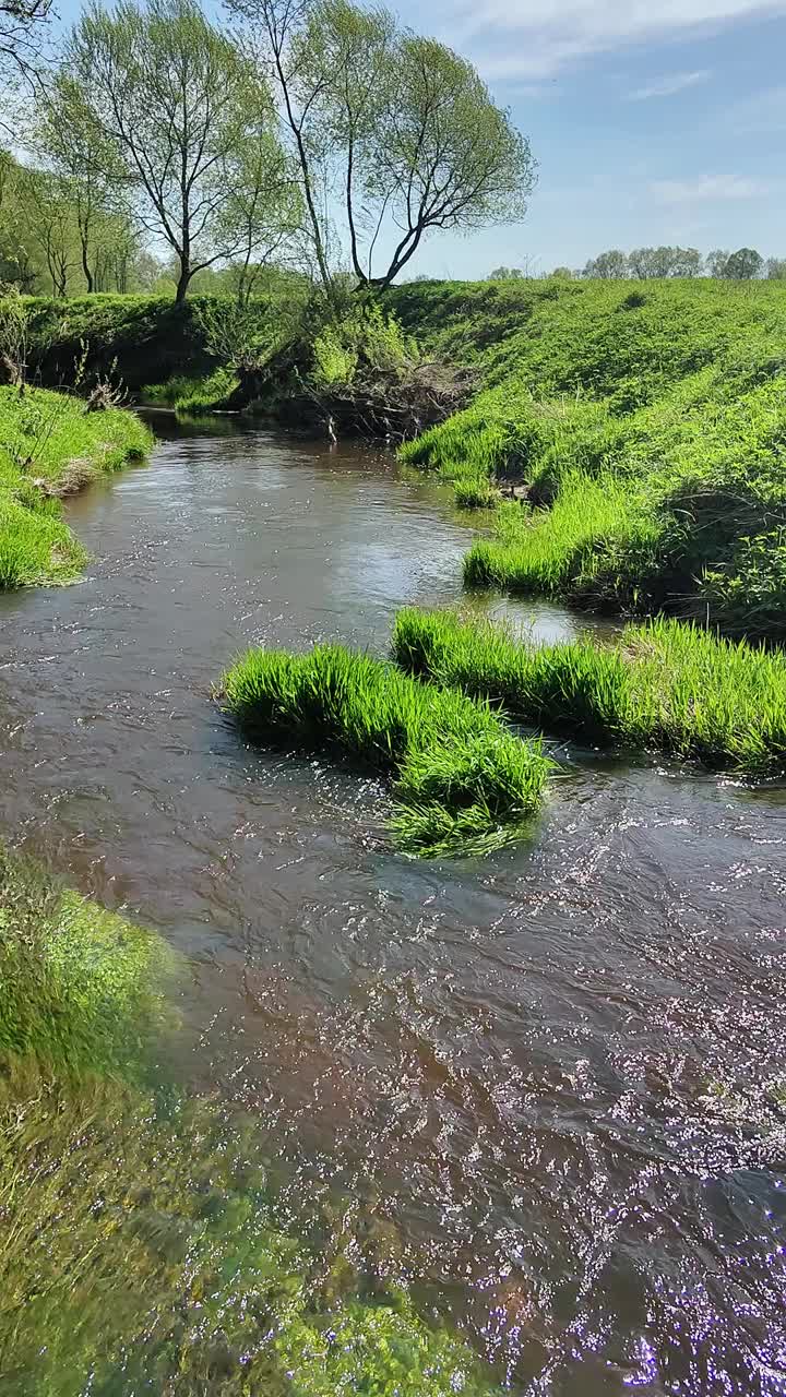 草地和田野之间的一条河，蓝天，夏天视频下载