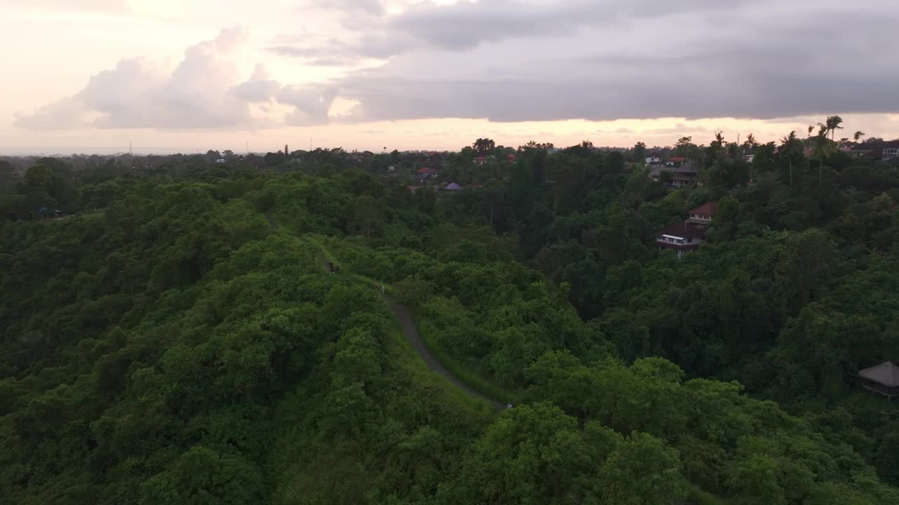 鸟瞰图的森林，小径，和山谷在坎普汉岭步道，巴厘岛。视频素材