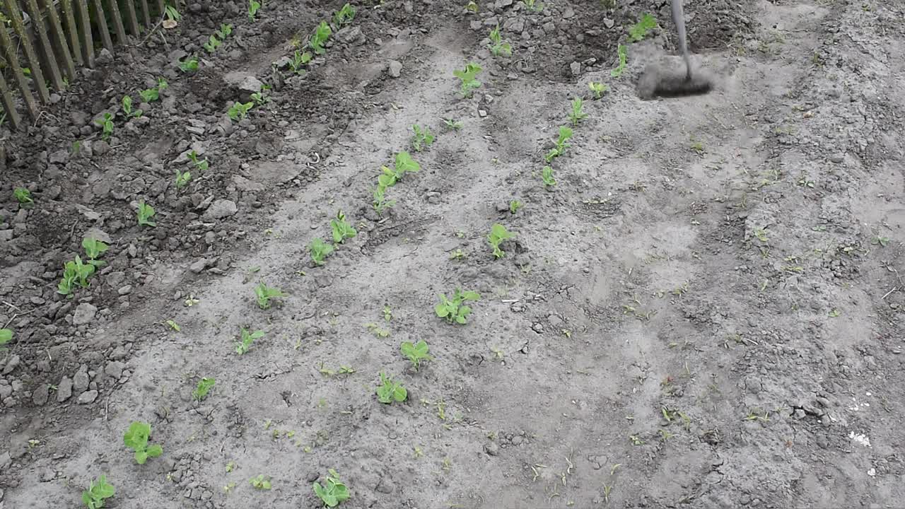 用锄头犁地视频下载