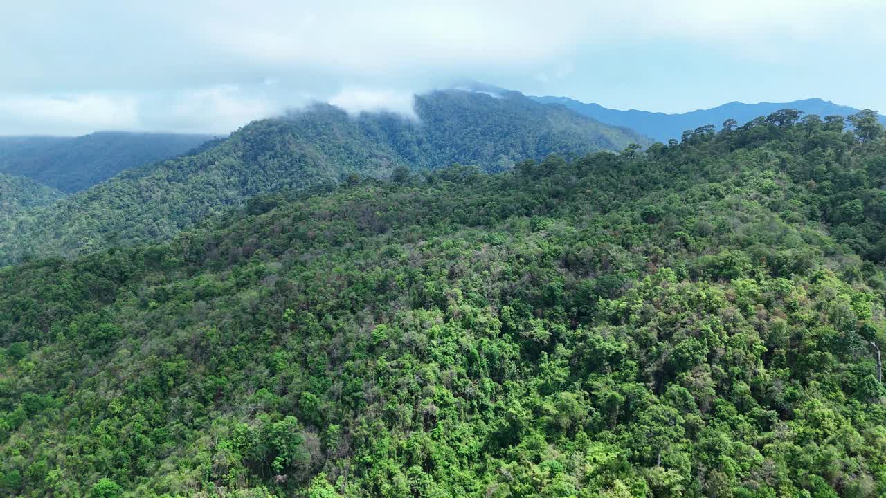 泰国热带雨林鸟瞰图。视频素材