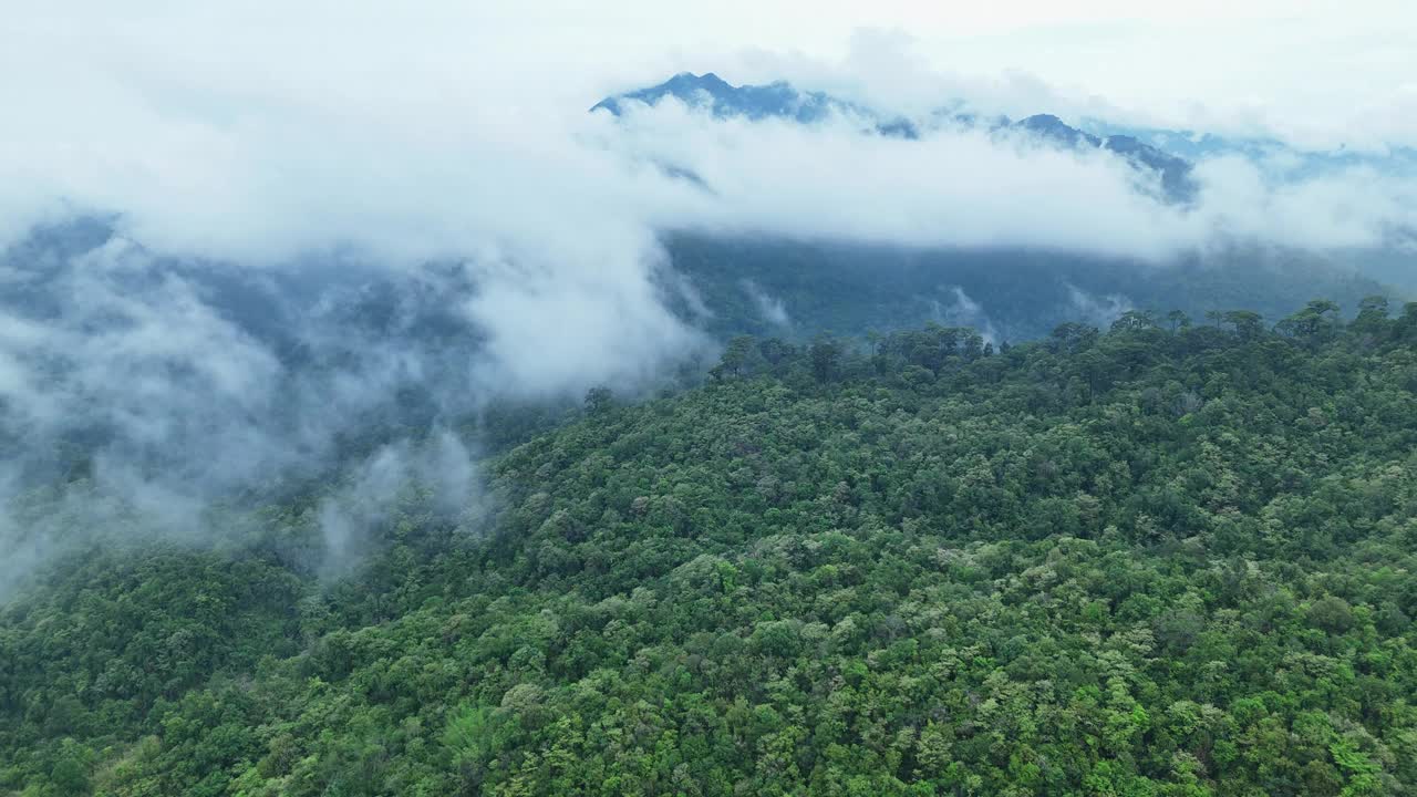 泰国热带雨林鸟瞰图。视频素材