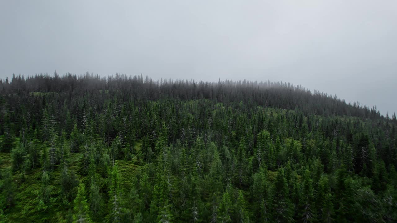 无人机飞越松树林，飞向消失在云雾中的山峰，挪威视频素材