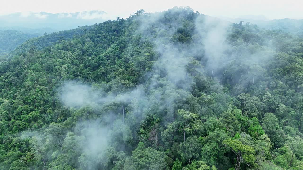 泰国热带雨林鸟瞰图。视频下载