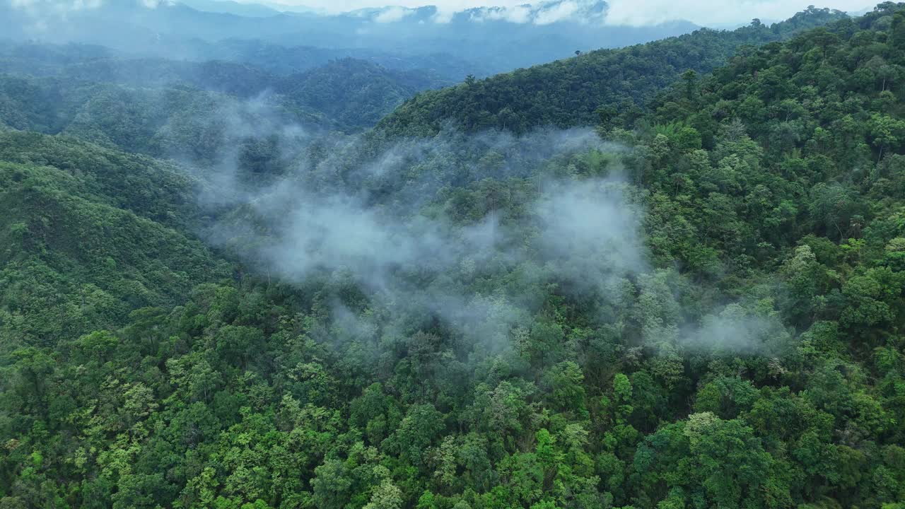 泰国热带雨林鸟瞰图。视频素材