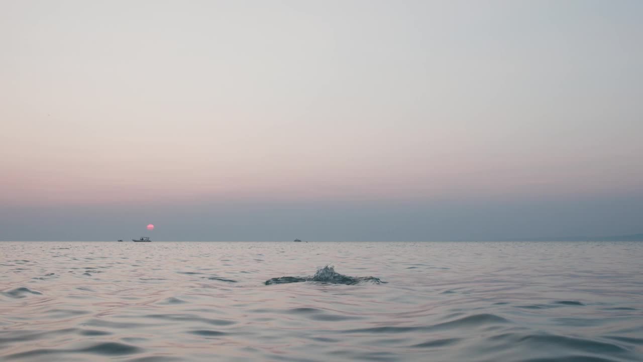 日落时分，一个男人在宁静的海滩上泼水的剪影视频素材