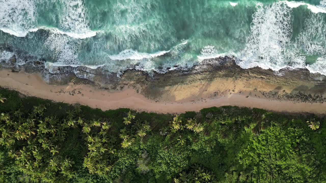 海浪冲击着空旷的热带海滩，棕榈树和茂密的丛林景观(空中无人机镜头)卡贝萨斯德圣胡安法哈多波多黎各(海浪移动)旅游天堂热带视频素材