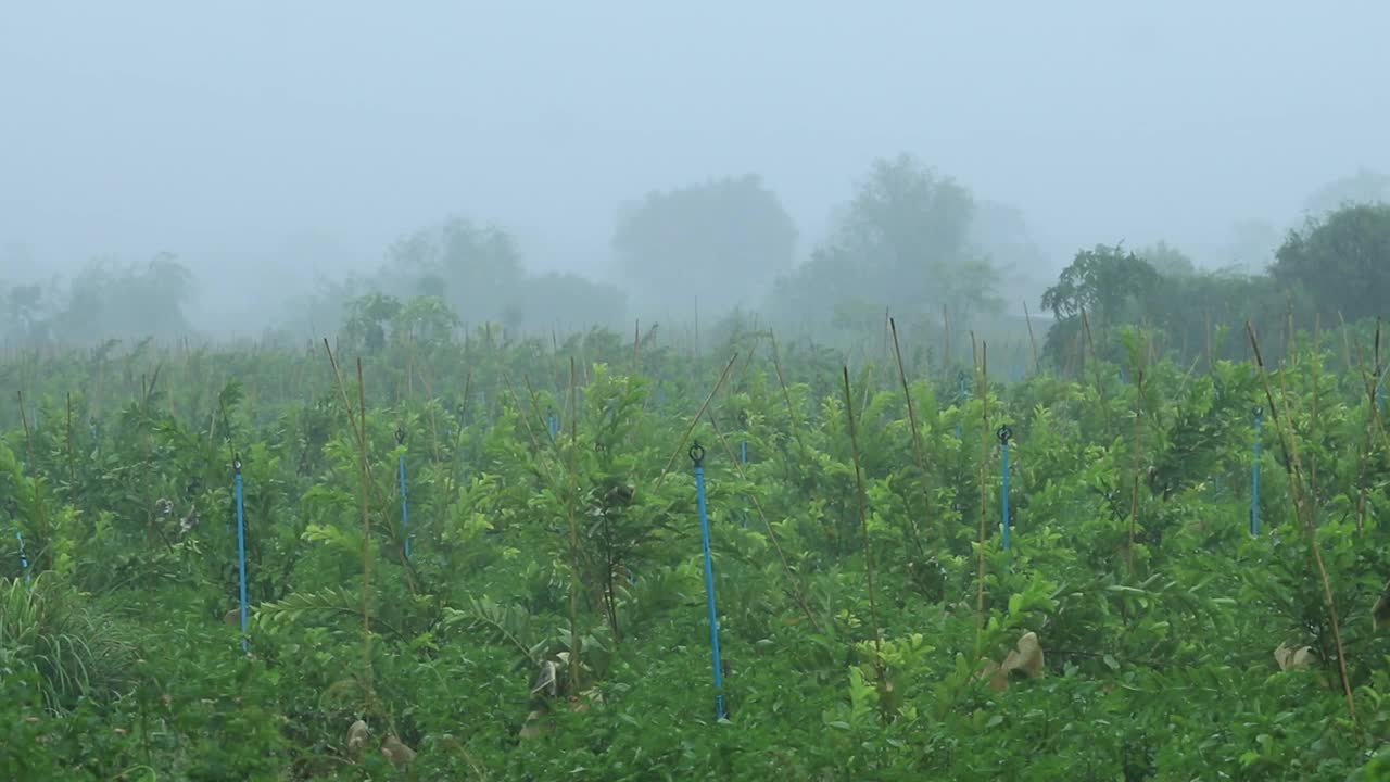 晚上下的暴雨淹没了周围地区，没有迹象表明黑暗、黑色的天空和可怕的闪电会停止。视频下载