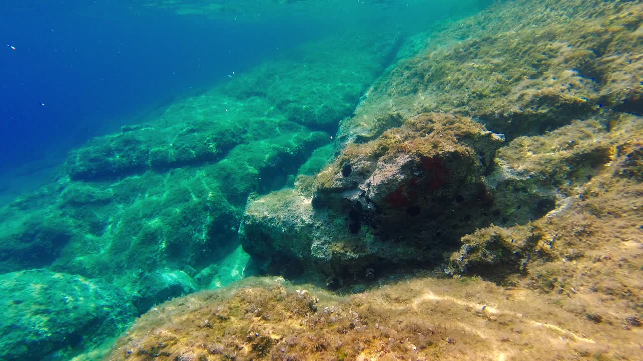 亚得里亚海岩石海岸的水下景观视频素材