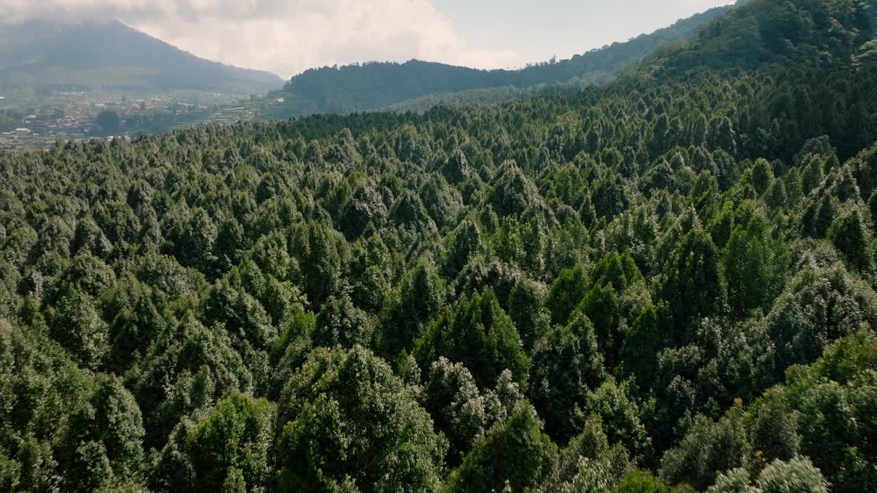 鸟瞰图，郁郁葱葱的绿色森林，树木茂密，植被茂密视频素材