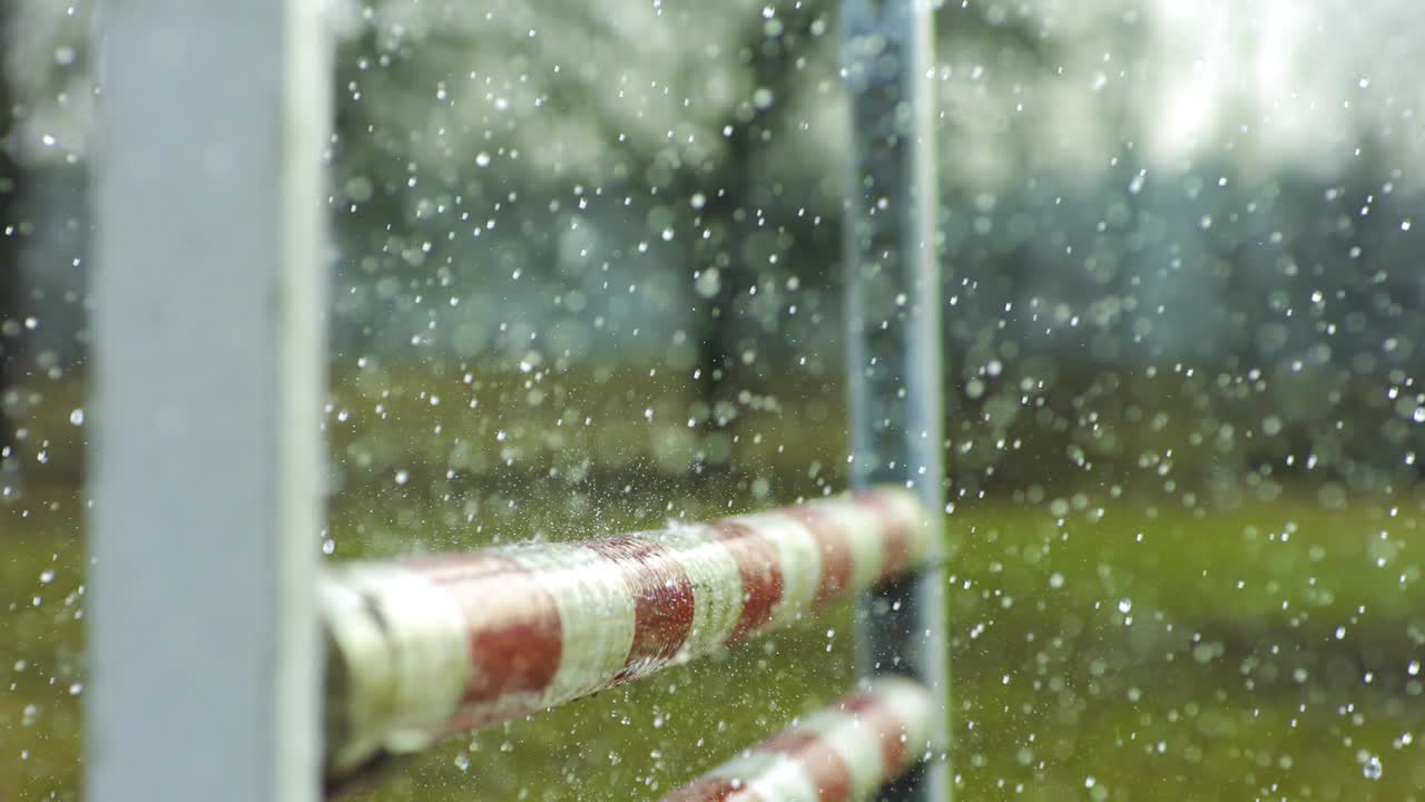 马跳过障碍，在泥泞的雨天。视频素材