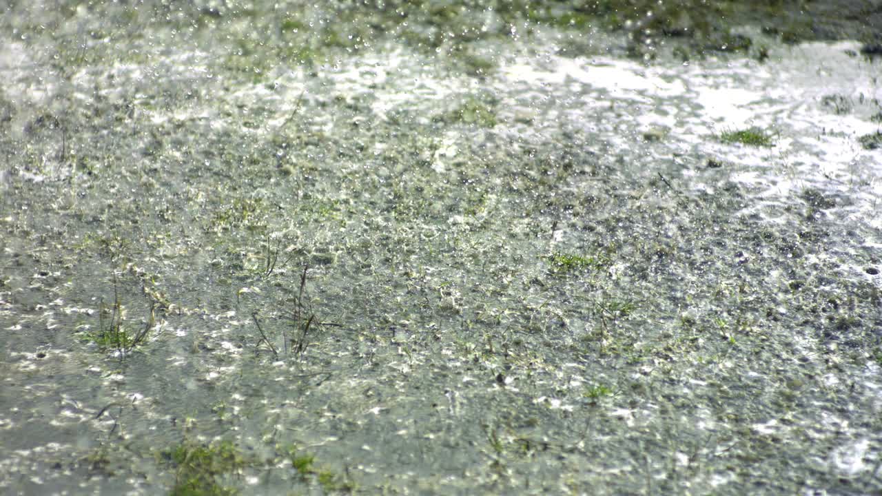 马和骑手在泥泞中，准备在雨天的跑道上奔跑。视频素材