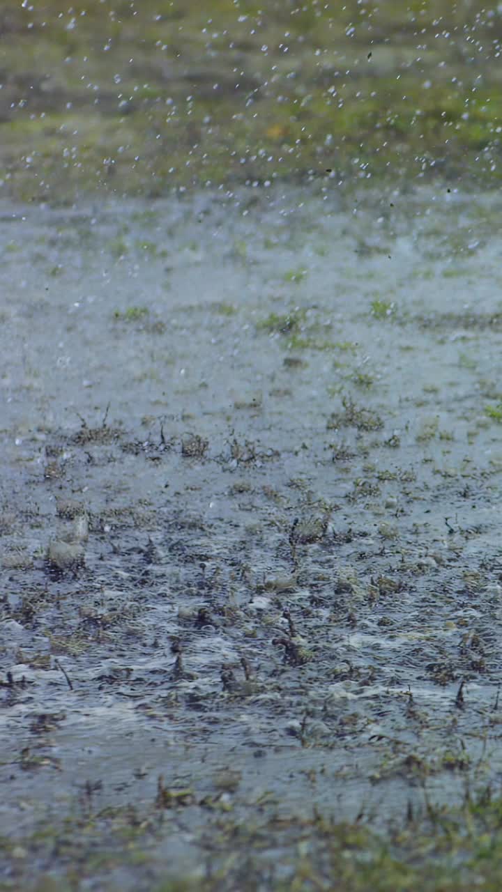 骑马的人摔了下来，在一个雨天在泥里。视频素材